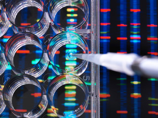 DNA Research, Samples of DNA in a multi well plate ready for analysis with DNA results in the background