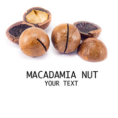 macadamia nuts close-up, macro, isolated on white background