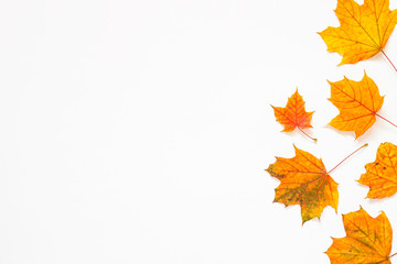 Naklejka na ściany i meble Autumn flat lay background with fallen leaves on white.