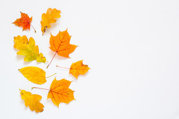Autumn flat lay background with fallen leaves on white.