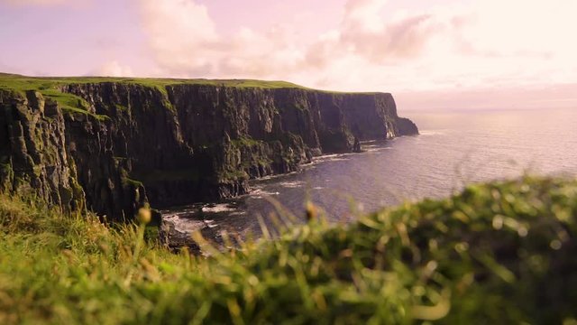 M&ouml;we fliegt Zeitlupe bei den Cliffs of moher im Sonnenuntergang Sunset - bird flying