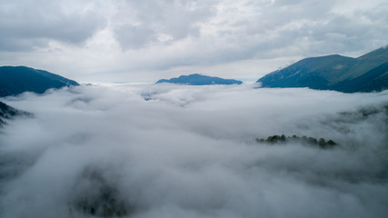 Fototapeta premium Low clouds in forest after the rain