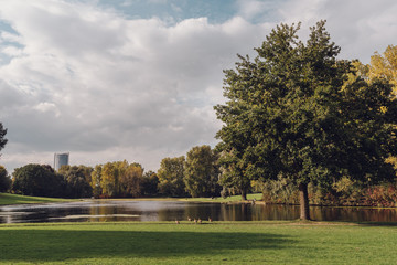 Empty park in autumn with a green tree, pond, green grass and some ducks on a cloudy sunny fall day