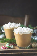 Two Glass cups of cocoa with marshmallow on a wooden background with christmas decorations