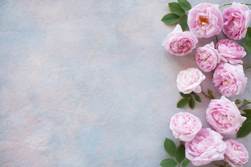 Decorative background with garden pink roses, space for text, greetings.