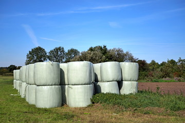 Obraz premium Runballs, hay bales wrapped in foil and stacked on top of each other for storage