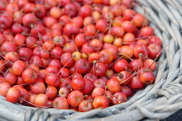 Holzäpfel im Weidenkorb