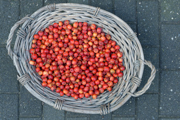 Holzäpfel im Weidenkorb