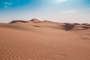 UAE. Desert  landscape