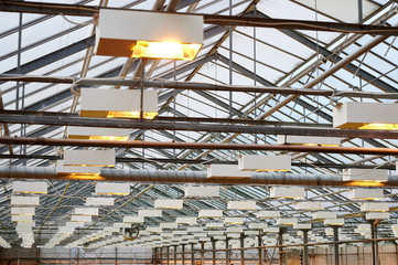 Inside of a greenhouse