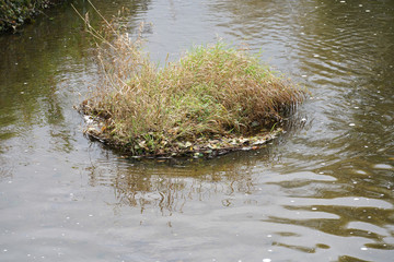 A Bavarian stream on the way to its mouth in the big river