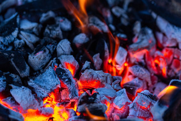 Coals in a burning fire, close-up view