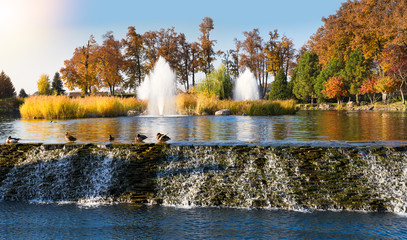 Beautiful autumn park with colorful trees, lake and fountain. Autumn in park, panorama
