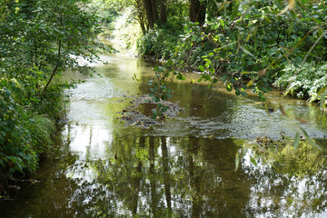 A Bavarian stream on the way to its mouth in the big river