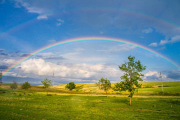 Beautiful landscape with rainbow, green field and trees - 294465602