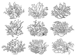 A set of black and white corals, sea and ocean life © katerina_dav