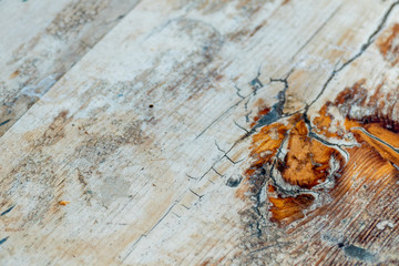 Wood surface