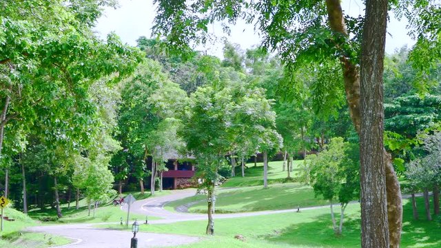 4K video of Mae Puem national park, Thailand.