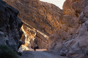 Photographer hiking in Titus Canyon at sunset at Death Valley National Park, CA, USA