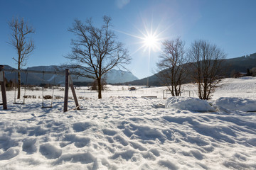 Fototapeta na wymiar Schneegang im Voralpenland