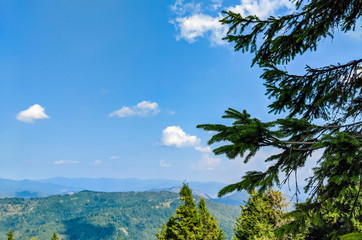 Carpathian Mountains landscape in the autumn season in the sunny day