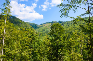 Carpathian Mountains landscape in the autumn season in the sunny day