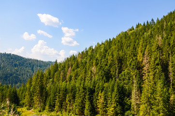 Carpathian Mountains landscape in the autumn season in the sunny day