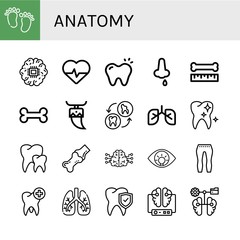 Set of anatomy icons such as Feet, Brain, Cardiology, Tooth, Nose bleeding, Bone, Lungs, Healthy tooth, Teeth, Joint, Eye, Leggings , anatomy