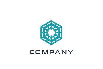 Abstract geometric hexagon technology logo design vector template with network connection line
