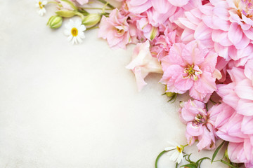 Spring pink blossom/springtime larkspur bloom, delphinium flowers background, pastel and soft floral card, toned