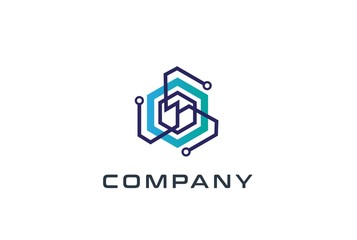 Abstract geometric hexagon technology logo design vector template with network connection line