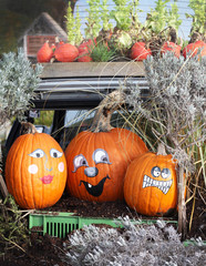 Close up of composition of orange pumpkins in the park with other vegetables. Autumn, outdoor fall background. Harvest and Thanksgiving concept.