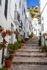 Fototapeta na wymiar Small alley in a old town in Andalusia, Spain. Pavers and plants decorate the alley. Vertical photo