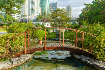 small bridge over a city pond