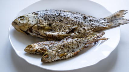 Fried river fish on white plate. Delicious grilled carp, isolated on white. Grilled Foods 