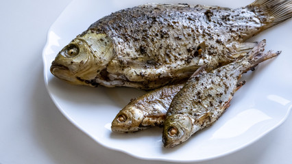 Fried river fish on white plate. Delicious grilled carp, isolated on white. Grilled Foods 
