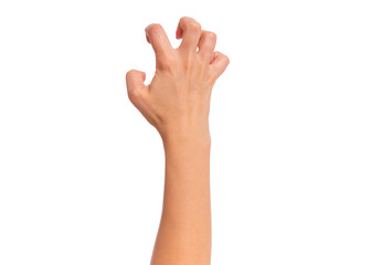 Obraz premium Female hand, isolated on white background. Beautiful hand of woman with copy space.