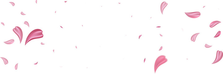 Pink falling petals isolated. Sakura flower pastel background.