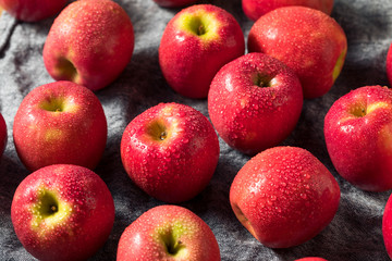 Raw Red Organic PInk Lady Apples