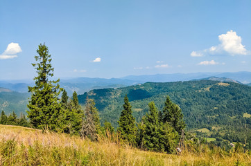 Fototapeta premium Carpathian Mountains landscape in the autumn season in the sunny day