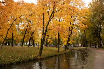 Tauride garden, Golden autumn, St. Petersburg