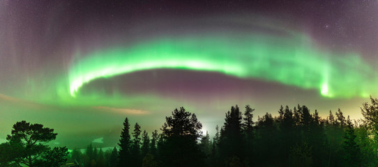 Northern Lights at partly clear skies with thick fog shines above Swedish foggy forest landscape in...