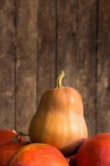 A lot of pumpkins on a wooden background. Red ripe pumpkins and pumpkin in the shape of a guitar, background