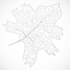 Floral frame design. Isolated leaf illustration element. Silhouette vector. Eco design vector illustration. Organic texture. Leaf nature icon