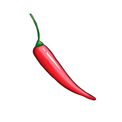 Chili single pepper hand drawn vector illustration. Traditional mexican food ingredient cartoon symbol. Natural spicy vegetables, tasty organic spices. Delicious cayenne, red jalapeno