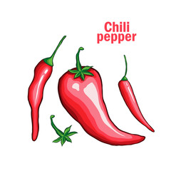 Chili single pepper hand drawn vector illustration with handwritten lettring. Traditional mexican food ingredient cartoon symbol. Natural spicy vegetables, tasty organic spices. Delicious red jalapeno