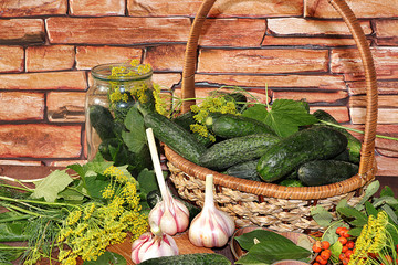 Cucumbers and ingredients for salting, the concept of healthy diet food. The process of preparing marinades in Russia at home. 