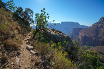 hiking the leopard trail, blyde river canyon, mpumalanga, south africa 7