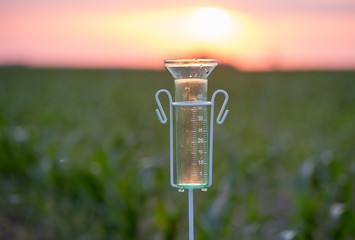 Rain gauge in corn field