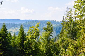Carpathian Mountains landscape in the autumn season in the sunny day